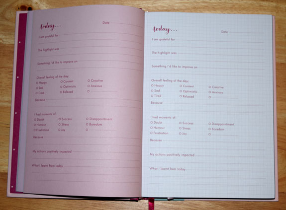 Reflection journal