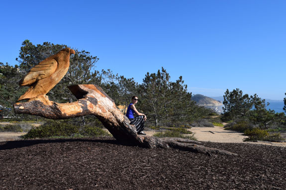 Sunset Seat, Torrey Pines