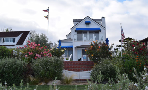 La Playa home with cat