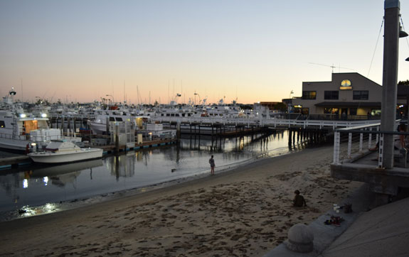 kids playing on the beach