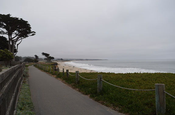 Half Moon Bay path
