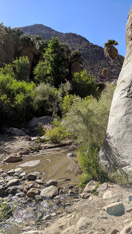 Palm Canyon Trail, Borrego Desert