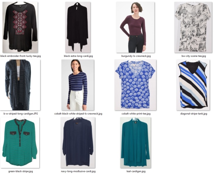 Half Project - June swapped in items